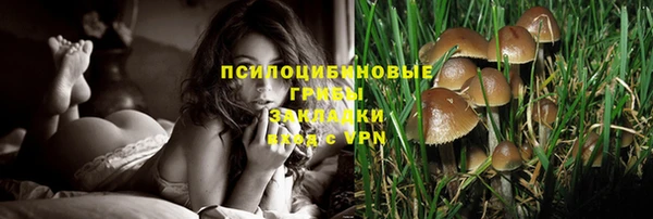 прущая мука Балахна