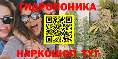 альфа пвп Анжеро-Судженск