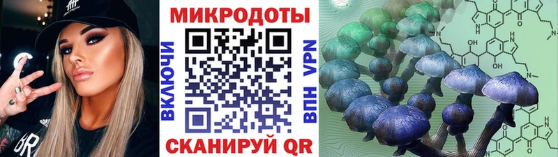 Псилоцибиновые грибы GOLDEN TEACHER Воркута