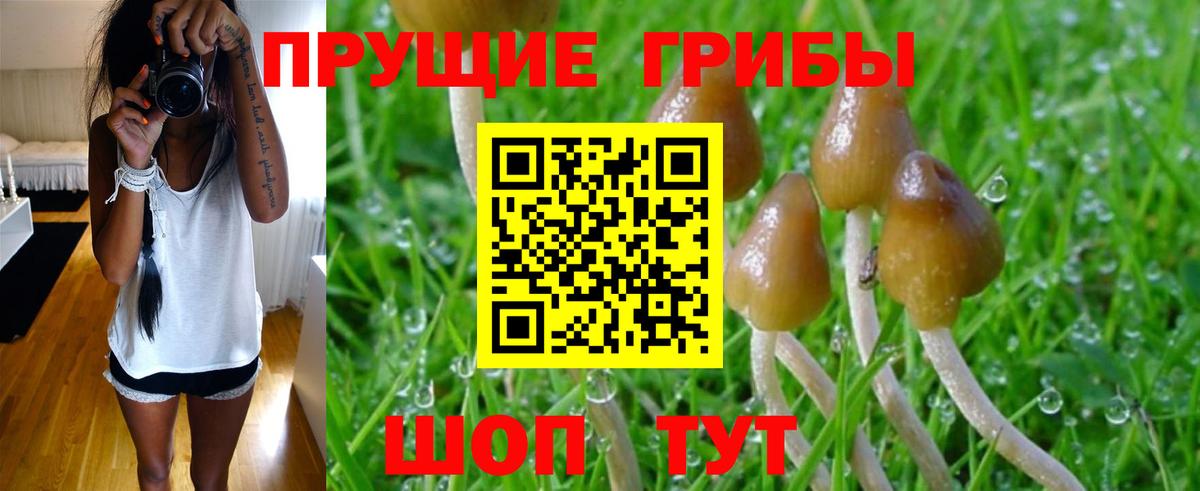 Псилоцибиновые грибы GOLDEN TEACHER Воркута