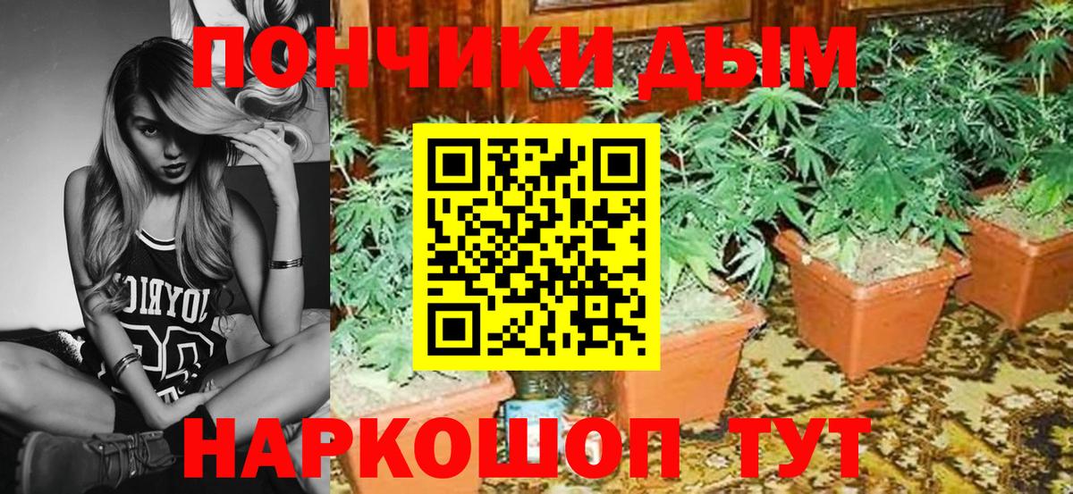 Воркута  МАРИХУАНА ГИДРОПОН  Каннабис Bruce Banner  Бошки марихуана гибрид  Вход с VPN  Бошки Шишки тримм 